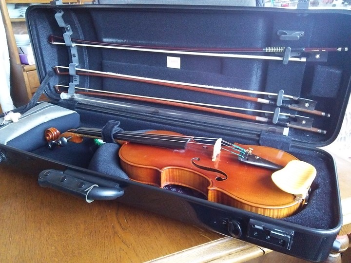 子供のバイオリンの習い事の月謝・かかるお金
